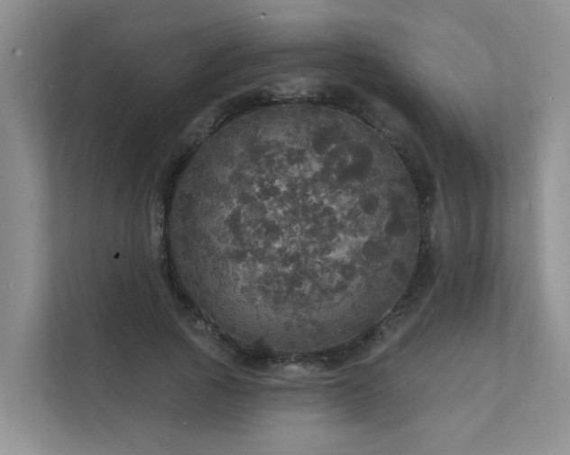 X0000111580737200907161424
