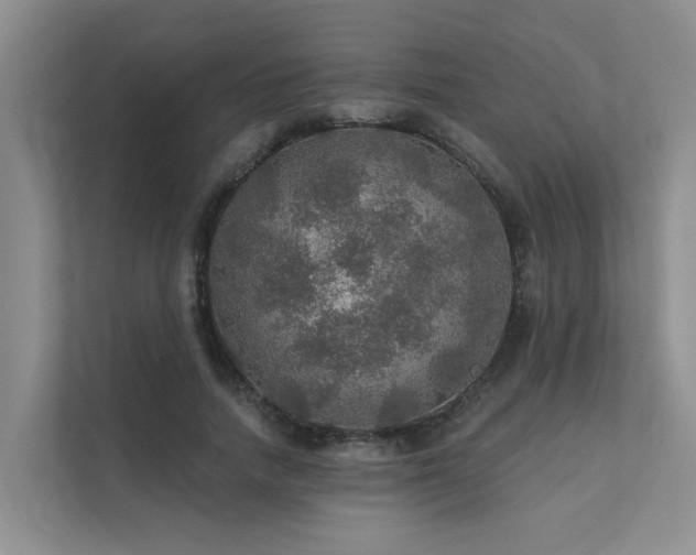 X0000111580738200907161424