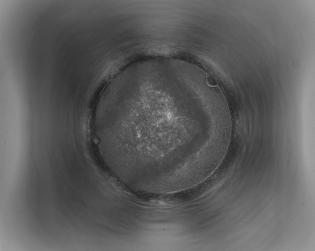 X0000111580739200907161424