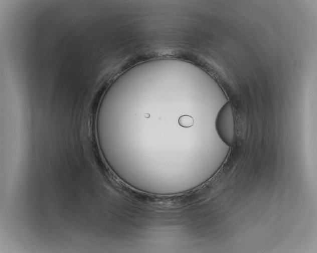 X0000111580740200907161424