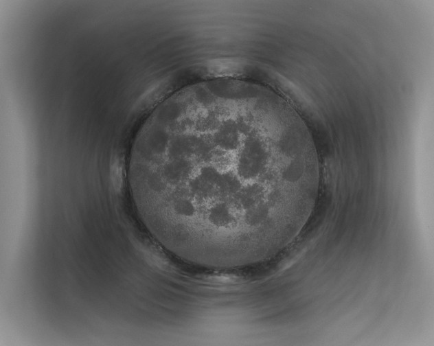 X0000111580741200907161424