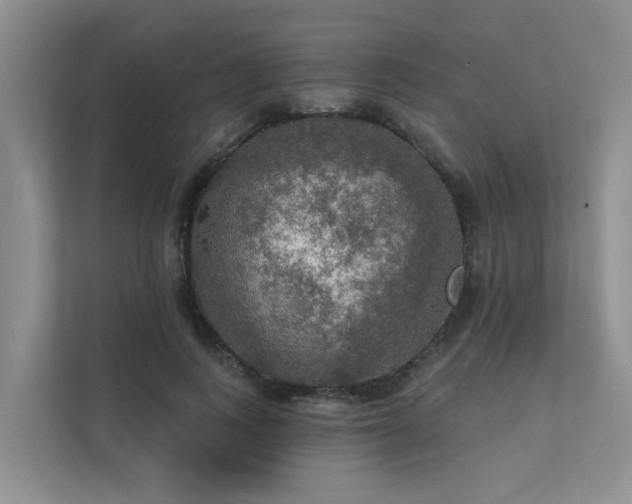 X0000111580743200907161424