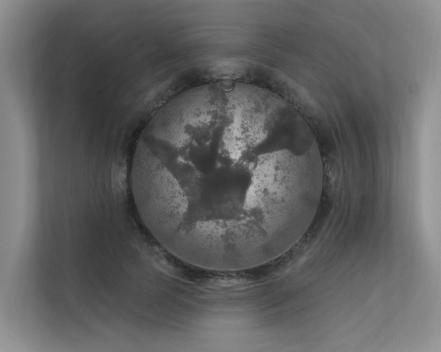 X0000111580745200907161424