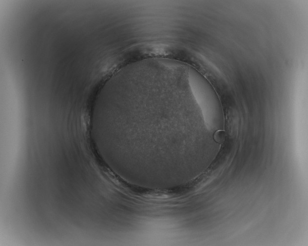 X0000111580747200907161424