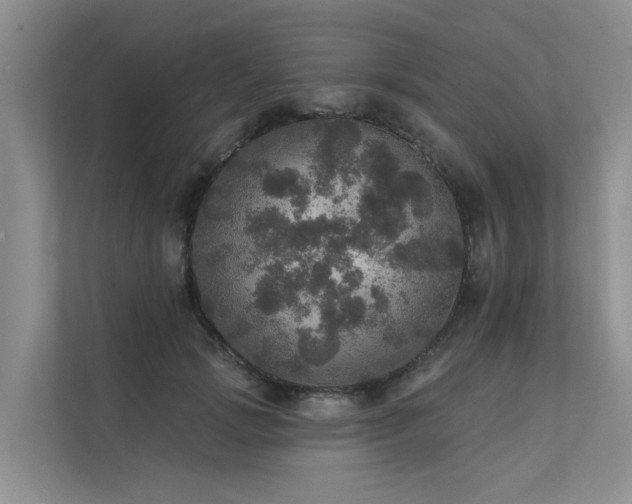 X0000111580749200907161424