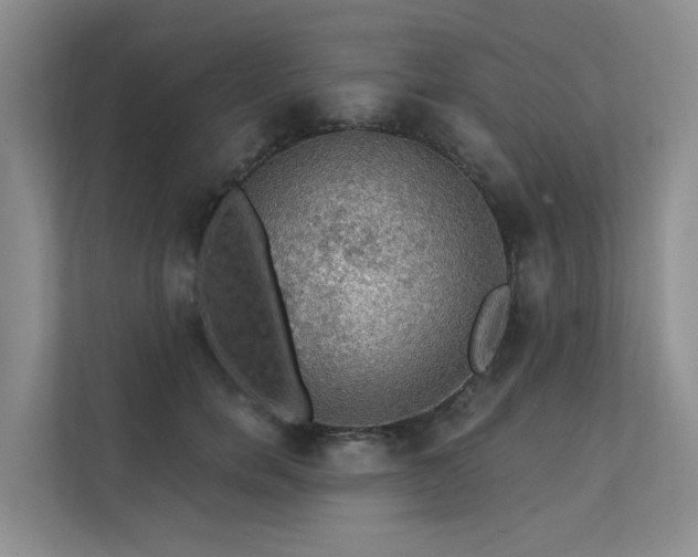 X0000111580750200907161424
