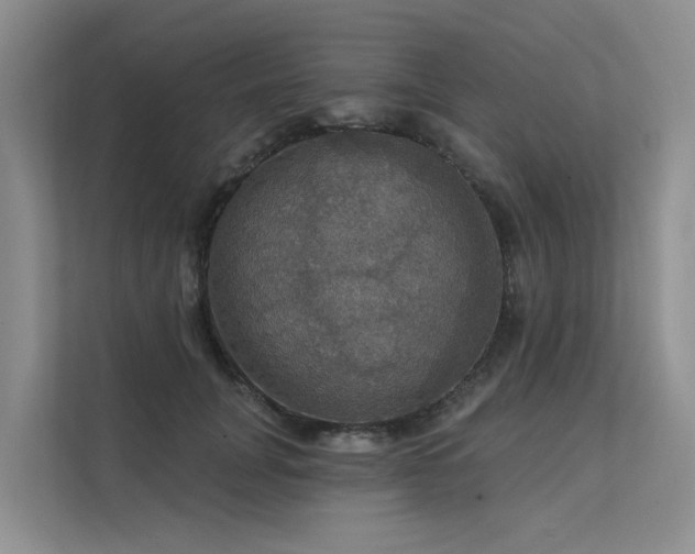X0000111580751200907161424
