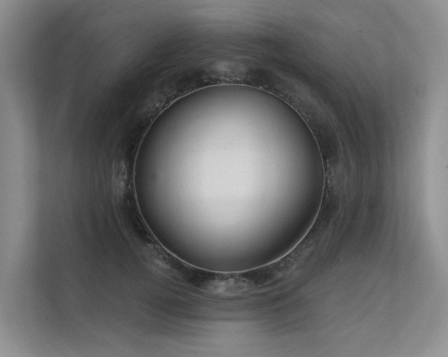 X0000111580752200907161424