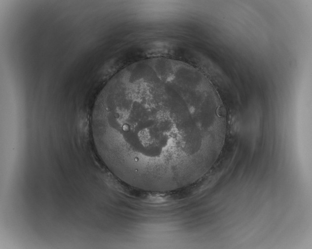 X0000111580753200907161424