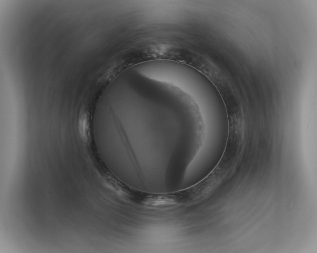 X0000111580754200907161424