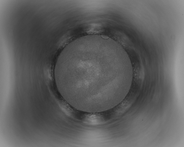 X0000111580755200907161424