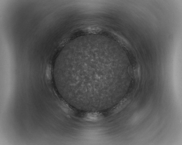 X0000111580757200907161424