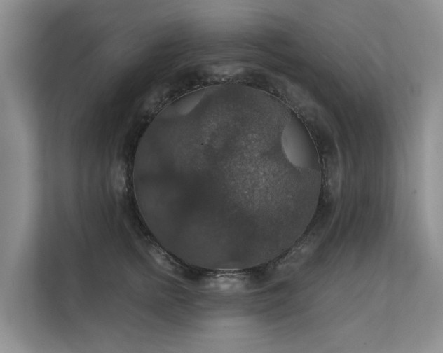X0000111580758200907161424