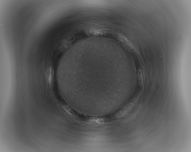 X0000111580760200907161424