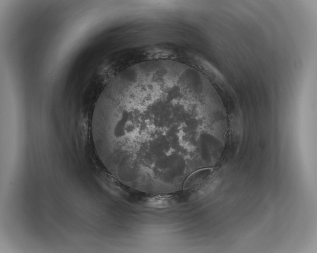 X0000111580761200907161425