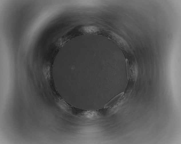 X0000111580762200907161425
