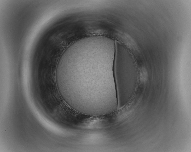 X0000111580764200907161425