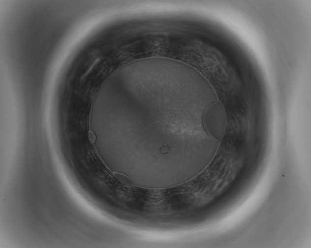 X0000111580766200907161425