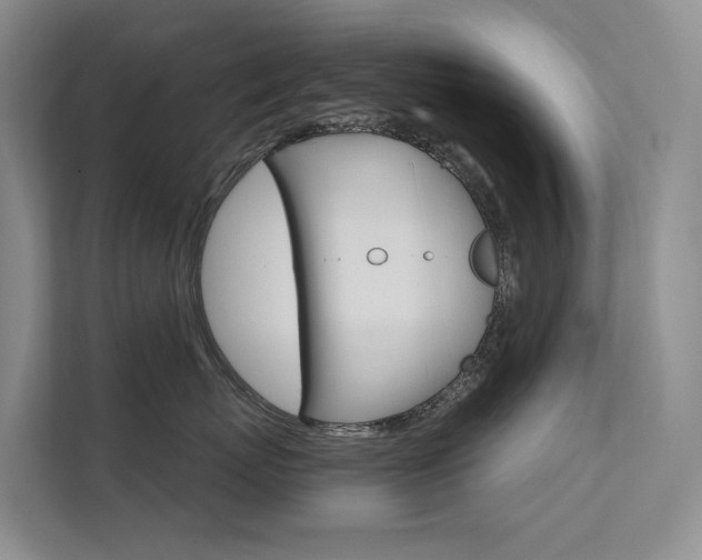 X0000111580767200907161425