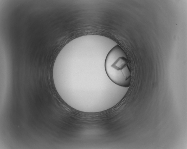 X0000111580768200907161425