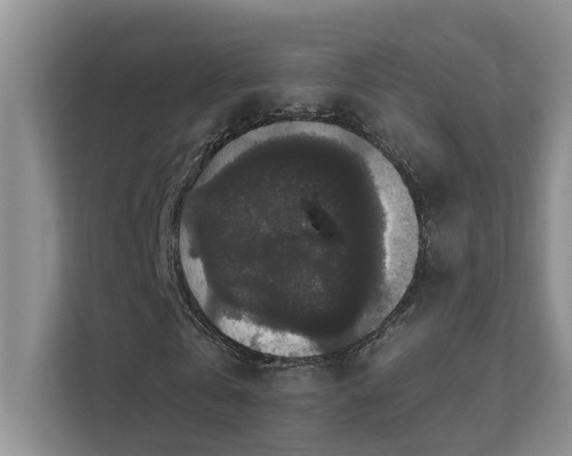 X0000111580769200907161424