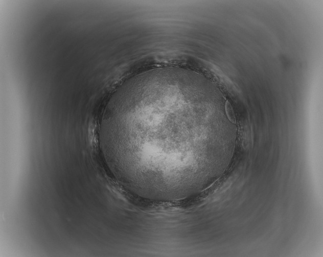 X0000111580770200907161424