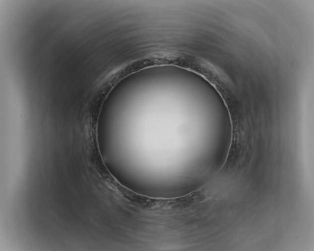 X0000111580773200907161424
