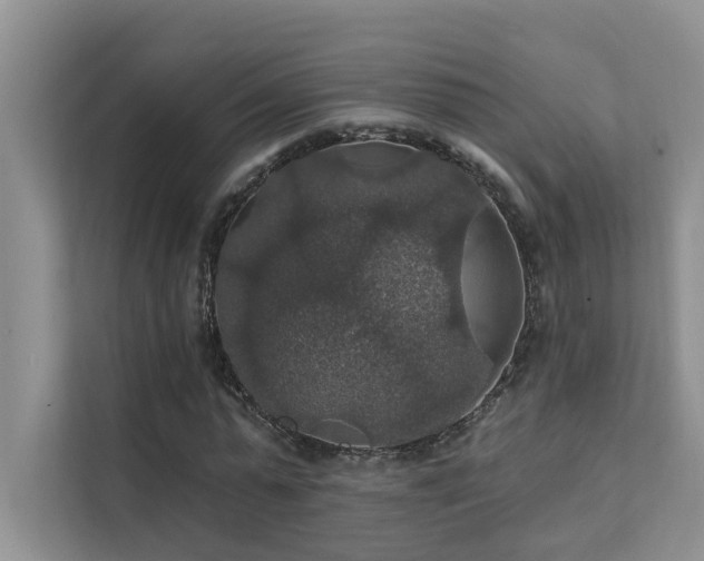 X0000111580775200907161424