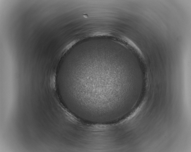 X0000111580777200907161424