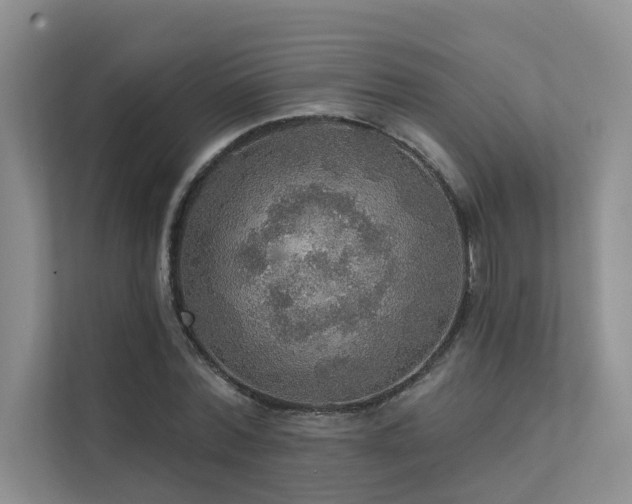 X0000111580780200907161424