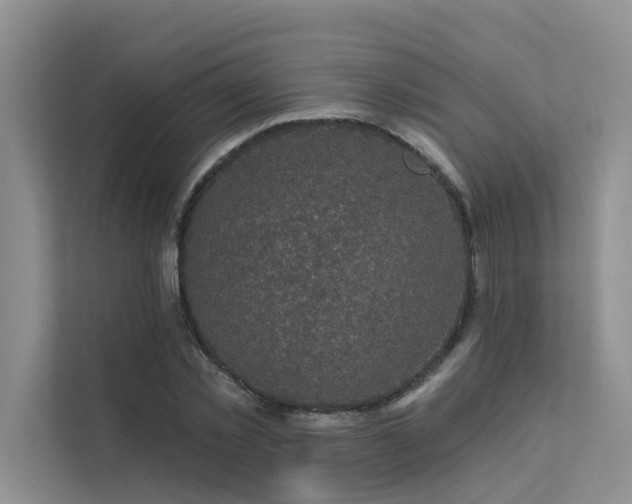X0000111580781200907161424
