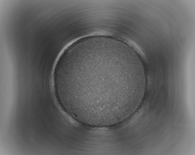 X0000111580784200907161424