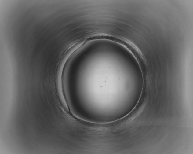 X0000111580785200907161424