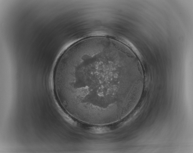 X0000111580795200907161424