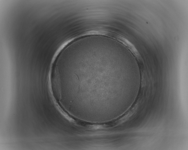 X0000111580796200907161424