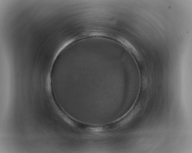 X0000111580798200907161424