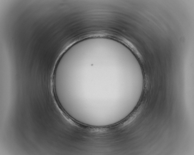 X0000111580802200907161424