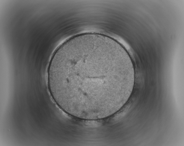 X0000111580807200907161423