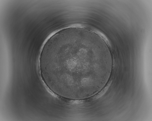 X0000111580808200907161423