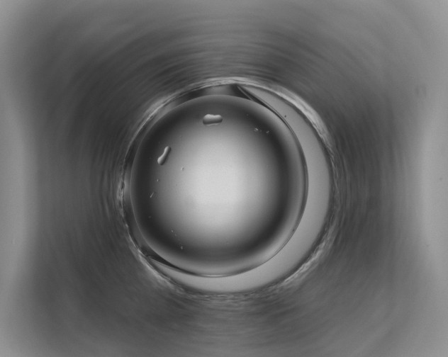 X0000111580809200907161423
