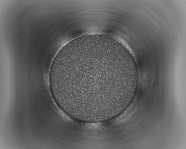 X0000111580810200907161423