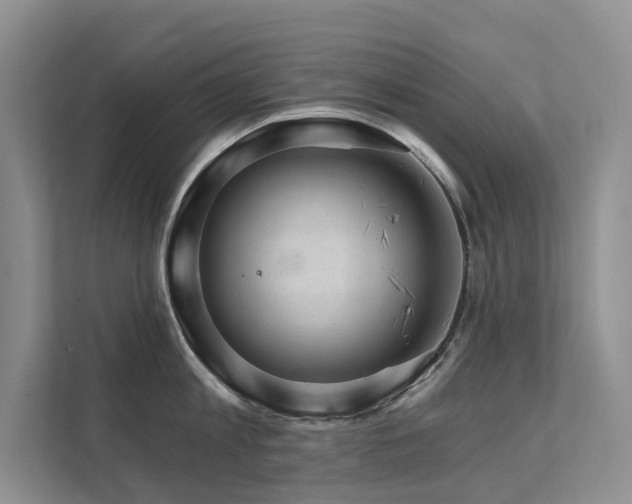 X0000111580813200907161423