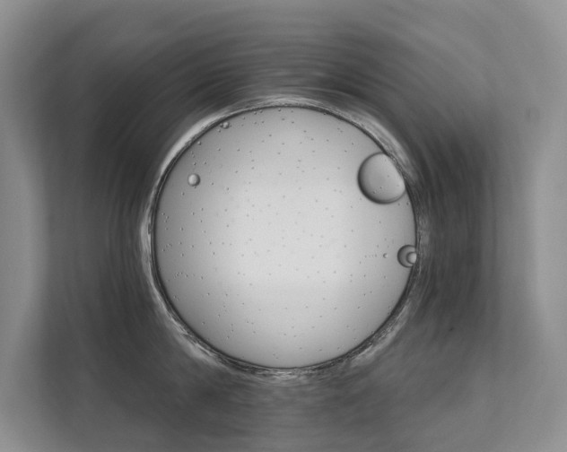 X0000111580814200907161423