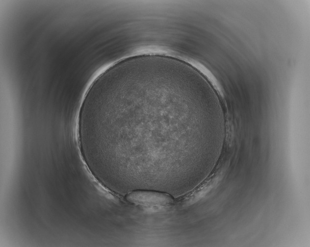 X0000111580815200907161423