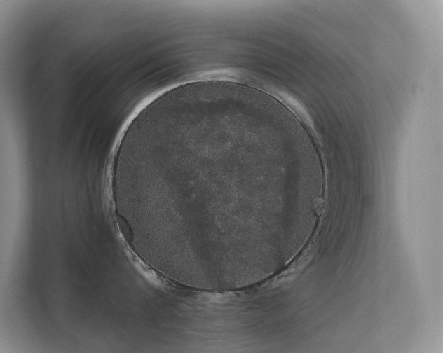 X0000111580816200907161423