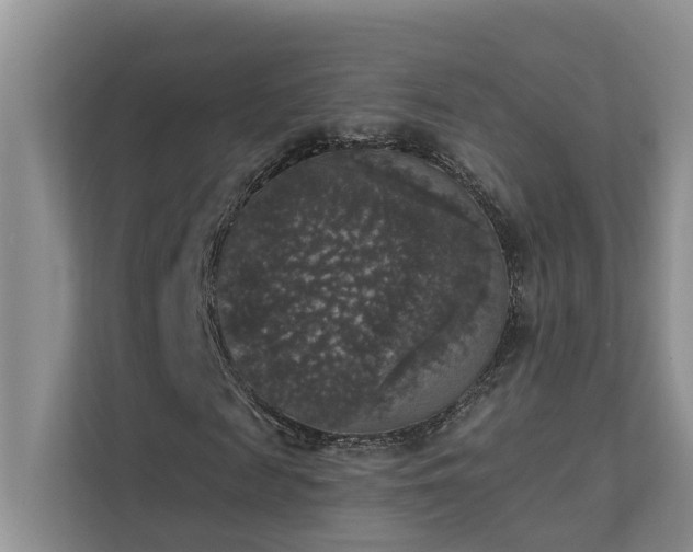 X0000111580817200907161423