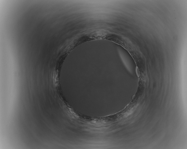X0000111580818200907161423