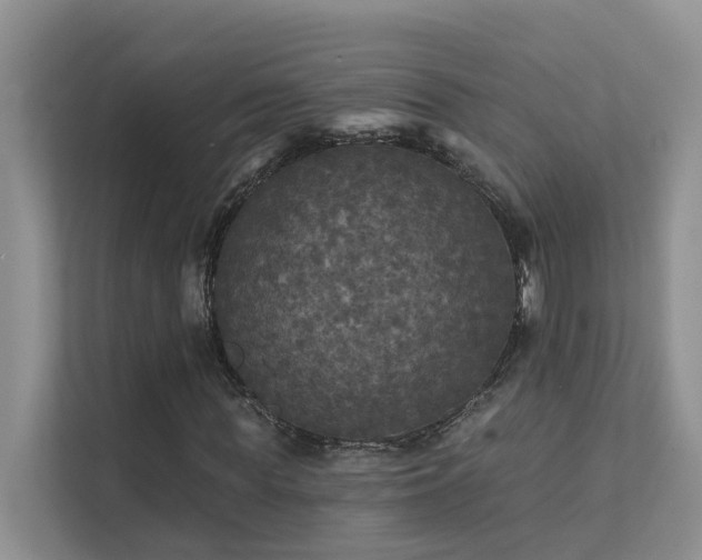 X0000111580819200907161423