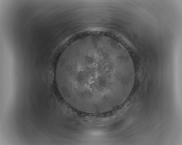 X0000111580821200907161423
