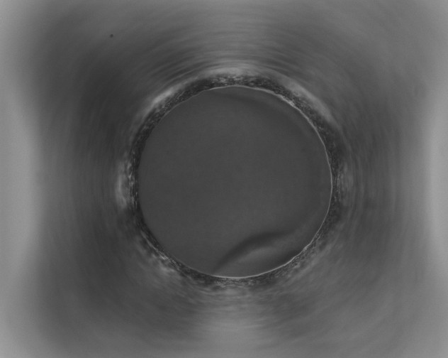 X0000111580822200907161423